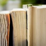 “Shall” can also mean “May”