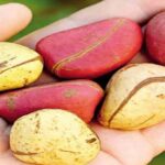 On whether judgment of a court of competent jurisdiction can be reviewed by another authority