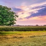 Failure of court to consider issues raised before it amounts to breach of fair hearing.