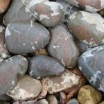 Reliefs sought in a suit are not part of the facts pleaded.