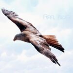 Out-of-Court Settlement is binding even without the approval or sanction of the Court.