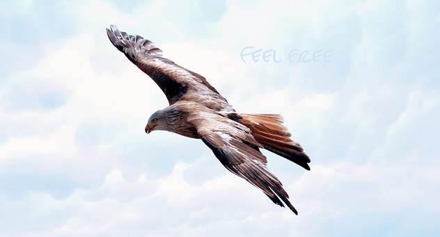 Compensation for unlawful arrest and detention is AUTOMATIC!