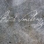 A lawyer has a duty not to use offensive and insulting language on the court – Notable pronouncement by Sankey, JCA.