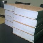 EXTENDED INTERVIEW: MEGAN CHAPMAN GIVES MORE INSIGHTS ON THE DISPLACEMENT OF THOUSANDS OF INHABITANTS OF OTODO GBAME COMMUNITY BY THE LAGOS STATE GOVERNMENT.