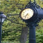 It is an attitude of a rogue for learned counsel to lie on his health condition just to delay a matter.