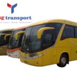 ATIKU: THE RED LINE BETWEEN CITIZENSHIP AND POLITICS