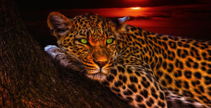 FROM AMOTEKUN TO EBUBE AGU: WHY SOUTHERNERS TURNED TO LEOPARDS FOR THEIR SECURITY