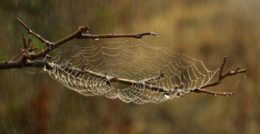 OLISA METUH’S CORRUPTION CASE: HOW JUSTICE ABANG FELL INTO A WEB OF BIAS THAT NULLIFIED METUH’S TRIAL AND CONVICTION