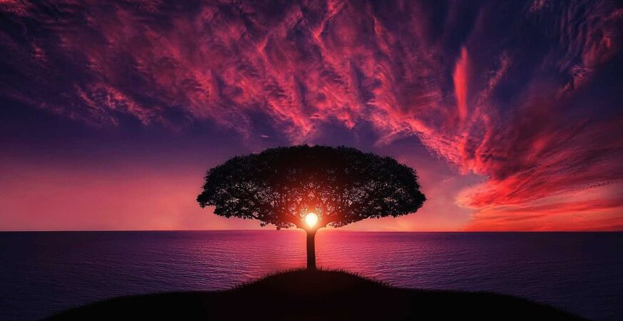 IPOB AND THE ILLUSION OF HUMAN RIGHTS IN THE LAND OF THE RISING SUN