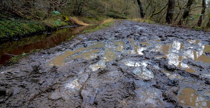 Nigerian judiciary in quagmire