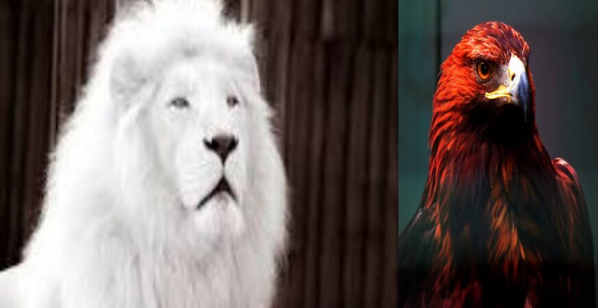 yahaya bello vs efcc