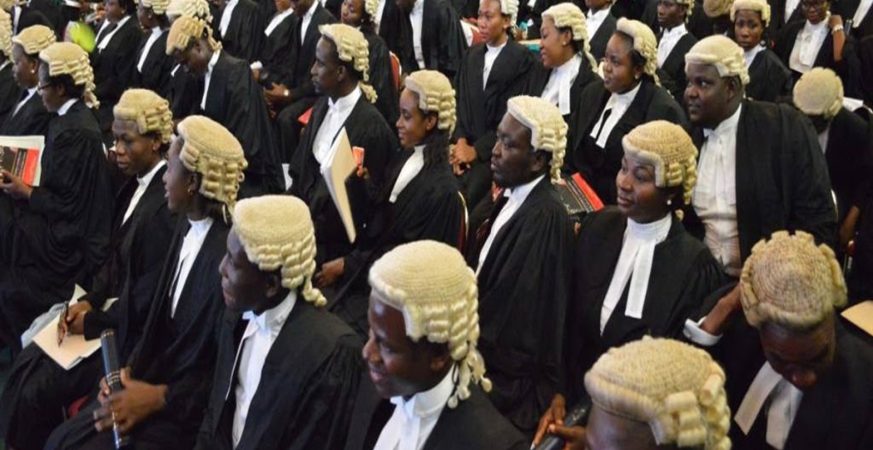 Nigerian lawyers tremble